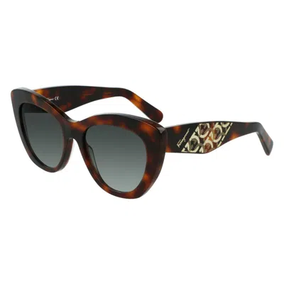 Ferragamo Brown Acetate Sunglasses