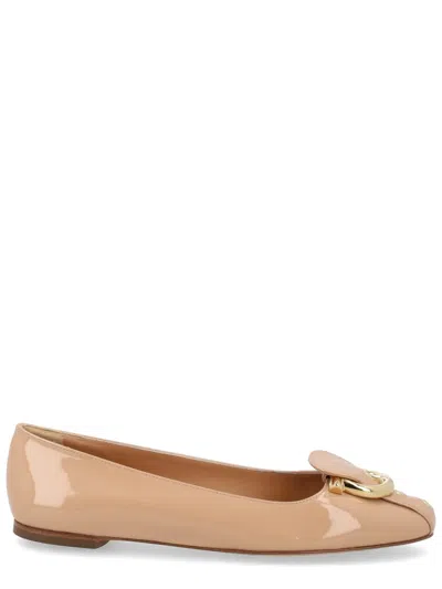 Ferragamo Brown Bos Taurus Flats