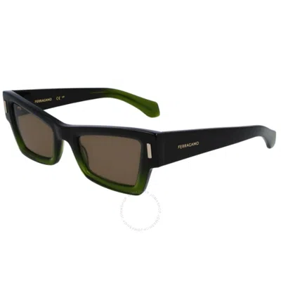 Ferragamo Brown Cat Eye Ladies Sunglasses Sf2006s 316 53
