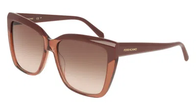 Ferragamo Brown Gradient Cat Eye Ladies Sunglasses Sf1102s 619 58
