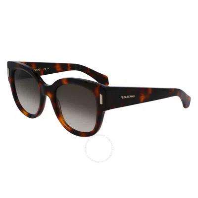 Ferragamo Brown Gradient Oval Ladies Sunglasses Sf2007s 240 51