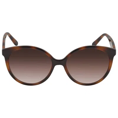 Ferragamo Brown Gradient Round Ladies Sunglasses Sf1071s 240 58 In Multi
