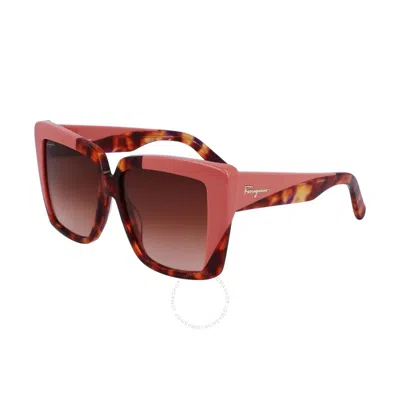 Ferragamo Brown Gradient Square Ladies Sunglasses Sf1060s 641 55
