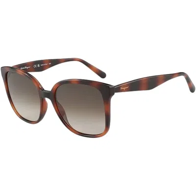 Ferragamo Brown Gradient Square Ladies Sunglasses Sf1072s 240 56