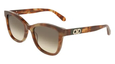 Ferragamo Brown Gradient Square Ladies Sunglasses Sf2108s 225 54