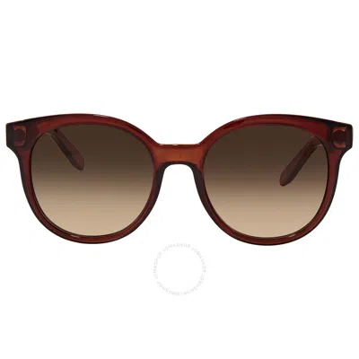 Ferragamo Brown Gradient Teacup Ladies Sunglasses Sf833s 210 53