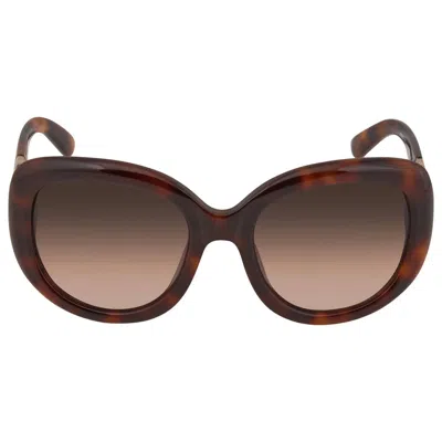 Ferragamo Brown Oval Ladies Sunglasses Sf727s 214 53