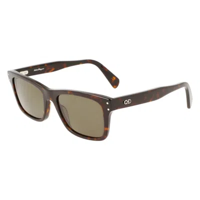 Ferragamo Brown Rectangular Men's Sunglasses Sf1039s 240 54 In Green