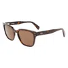 Ferragamo Gancini 55mm Rectangular Sunglasses In Brown