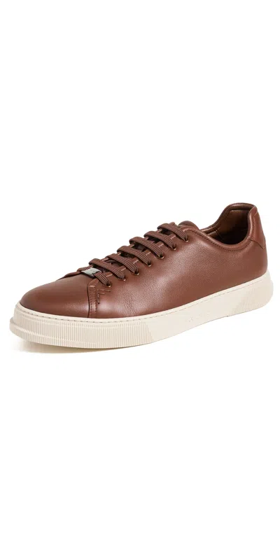 Ferragamo Bruce Sneakers Midbrown