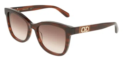 Ferragamo Burgundy Gradient Square Ladies Sunglasses Sf2108s 656 54