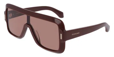 Ferragamo Burgundy Shield Ladies Sunglasses Sf2061se 606 55 In Brown