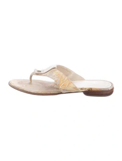 Pre-owned Ferragamo Canvas Floral Print Flip Flops In Brown