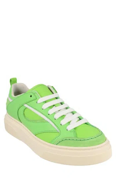 FERRAGAMO FERRAGAMO CASSINA MIX LACE UP SNEAKER