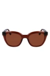 Ferragamo Classic Logo Tea Cup 52mm Round Sunglasses In Transparent Brown