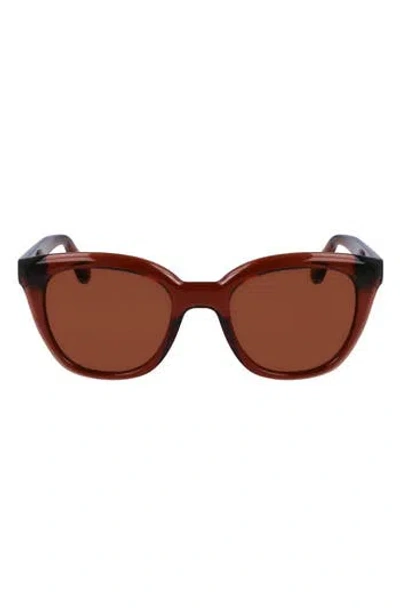 Ferragamo Classic Logo Tea Cup 52mm Round Sunglasses In Transparent Brown