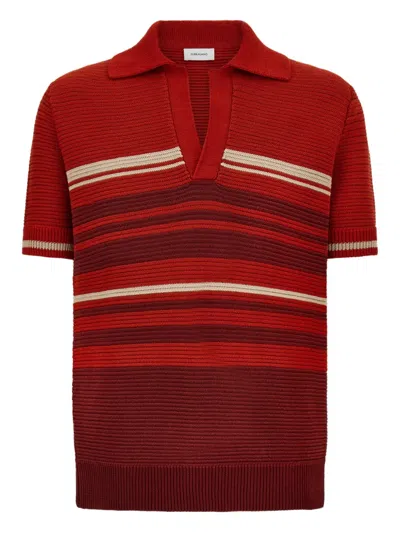 Ferragamo Cotton Knit Polo Shirt In Brown