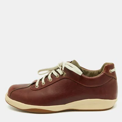 Pre-owned Ferragamo Dark Brown Leather Low Top Sneakers Size 41.5