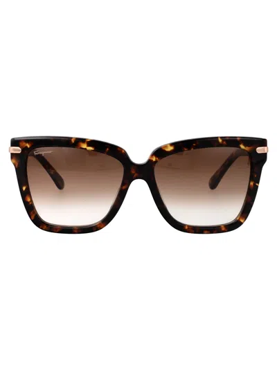 Ferragamo Dark Tortoise Acetate Sunglasses