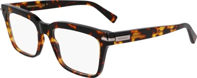 Ferragamo Demo Square Men's Eyeglasses Sf3014 242 53 In ["tortoise"]