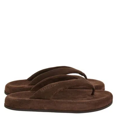 Ferragamo Dylan Suede Platform Sandals In Brown