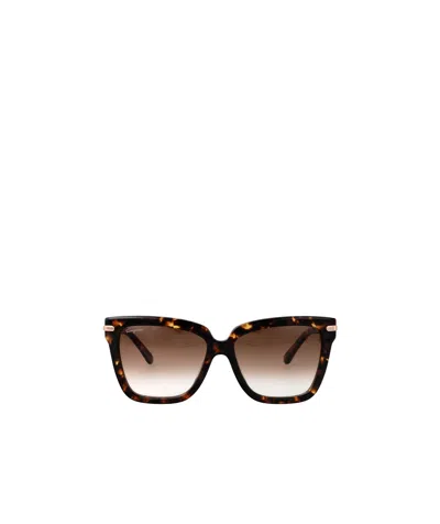 Ferragamo Eyewear Cat Eye Frame Sunglasses In Brown