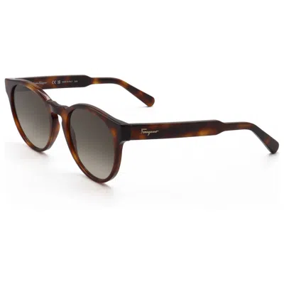 Ferragamo Fashion Women's Sunglasses In Brown