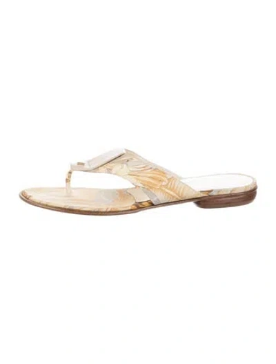 Pre-owned Ferragamo Floral Print Flip Flops In Neutrals