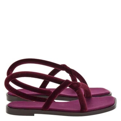 Ferragamo Floriane Knotted Strap Flat Sandals In Purple