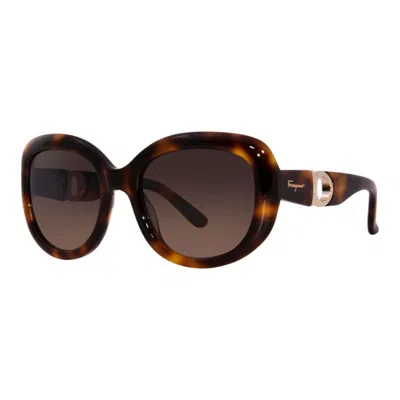 Ferragamo , Frame And Lens In Brown