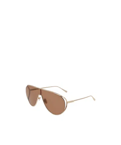Ferragamo Full Frame Sunglasses In Brown