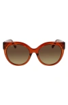 Ferragamo Gancini 53mm Round Sunglasses In Brown