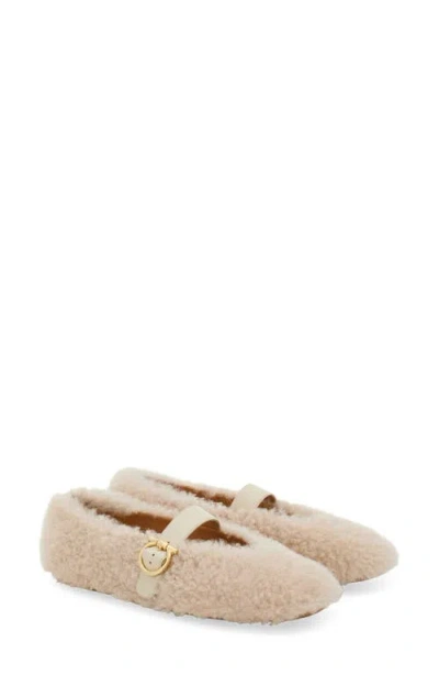 Ferragamo Gancio Genuine Shearling Ballet Flat In Neutral