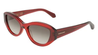 Ferragamo Grey Gradient Cat Eye Ladies Sunglasses Sf2104s 614 55