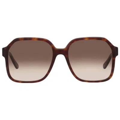 Ferragamo Grey Gradient Square Ladies Sunglasses Sf1069s 242 56 In Brown