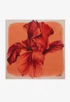 Ferragamo Iris Print Silk Scarf In Multicolor
