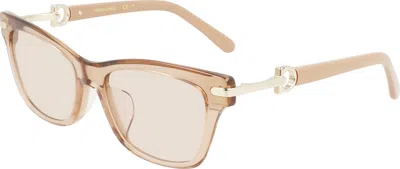 Ferragamo Light Brown Cat Eye Ladies Sunglasses Sf2019slb 260 54