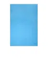 Ferragamo Semi-sheer Cashmere Scarf In Blue