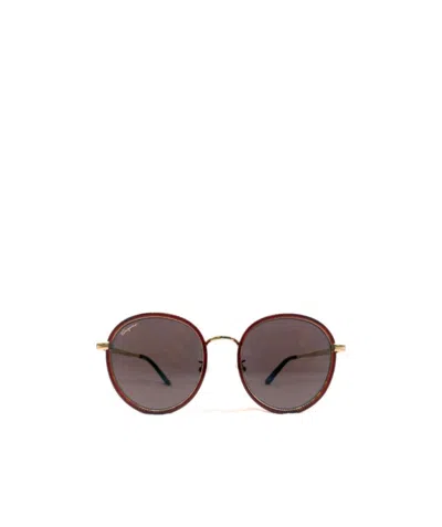 Ferragamo Logo Sunglasses In Brown