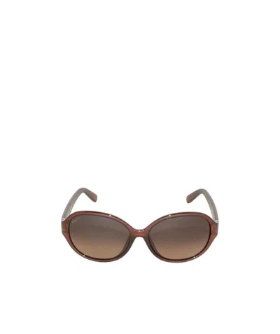 Ferragamo Logo Sunglasses In Brown