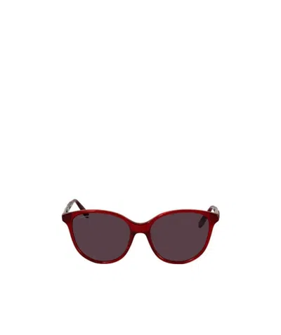 Ferragamo Logo Sunglasses In Brown