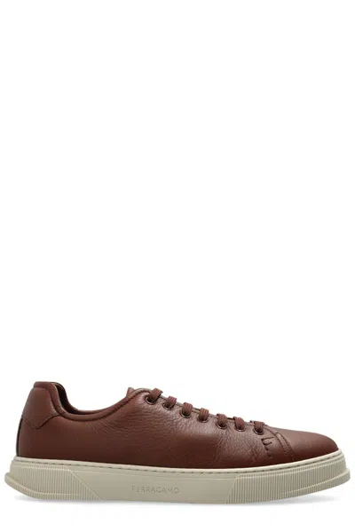 Ferragamo Salvatore Leather Sneakers Low-top Silhouette In Brown