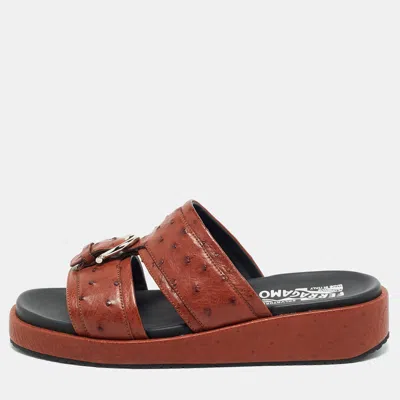 Pre-owned Ferragamo Lufti Size 41 Brown Ostrich Leather Flat Sandals