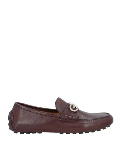 Ferragamo Man Loafers Cocoa Size 11 Calfskin In Brown