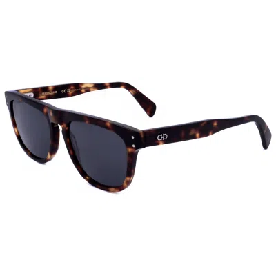 Ferragamo Brown Acetate Sunglasses