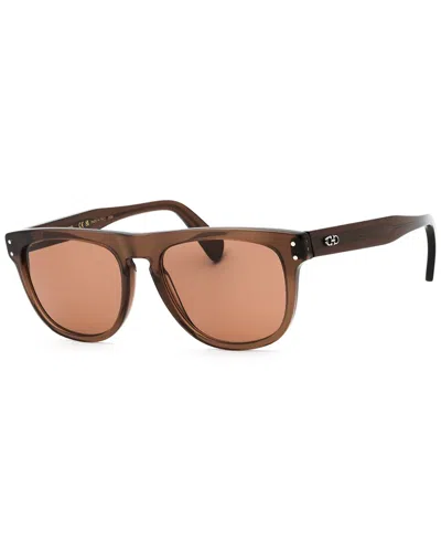 Ferragamo Men's 55mm Sunglasses In Brown