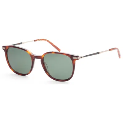 Ferragamo Men's Sunglasses In Brown