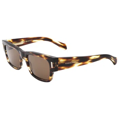 Ferragamo Men's Sunglasses In Brown