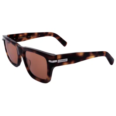 Ferragamo Men's Sunglasses In Brown