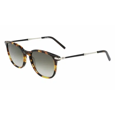 Ferragamo Men's Sunglasses Salvatore  Sf1015s-242  52 Mm Gbby2 In Brown